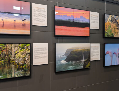 Fins al setembre, l’exposició “La Terra, un Llenç Vivent” de José Antonio Sartorio Lorenzo ens convida a explorar la bellesa i la complexitat del nostre planeta